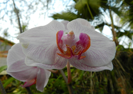 florcita hotel hospedaje manabi